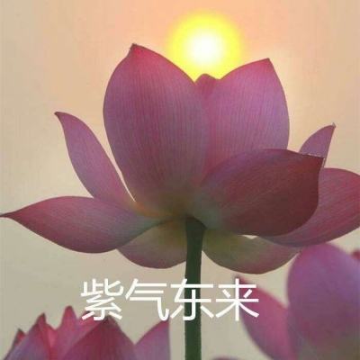 南非犀牛角注射同位素 - August 1, 2025